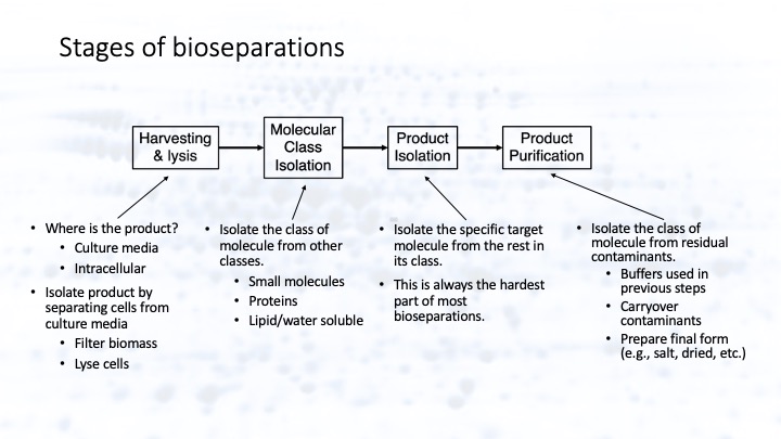 BioSeparations_1_Challenge